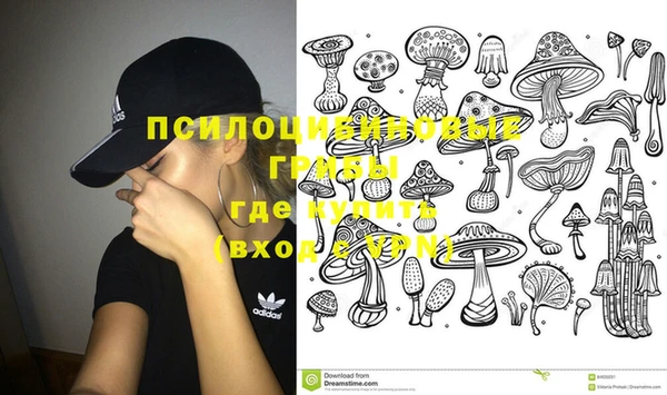 прущие крисы Каменка