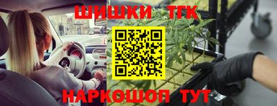 крисы Абакан