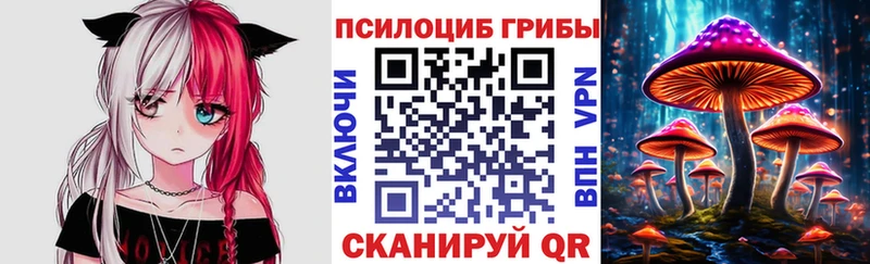 где купить наркоту Карабулак Псилоцибиновые грибы ЛСД