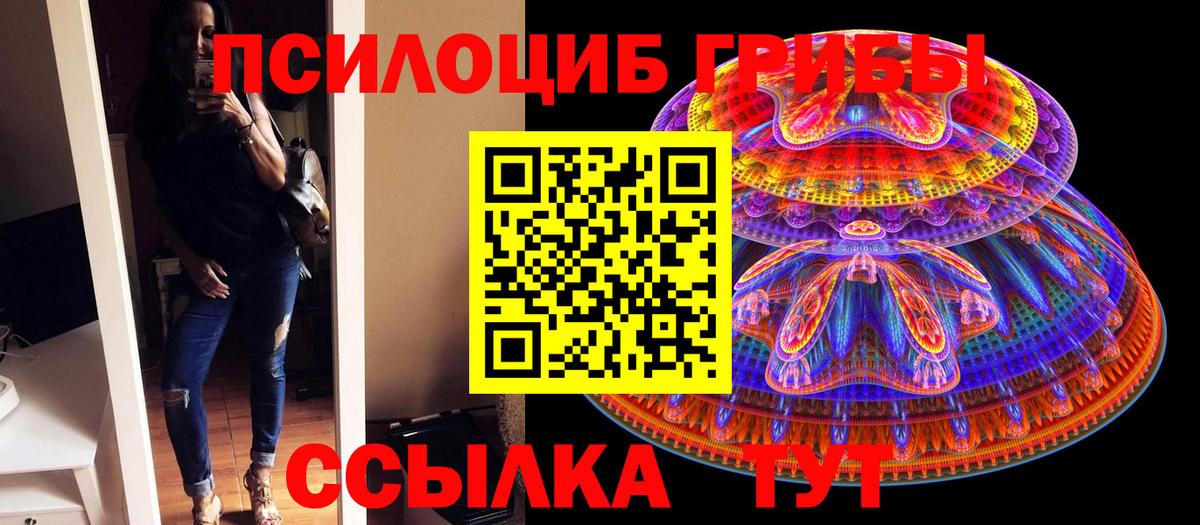 Галлюциногенные грибы Psilocybine cubensis  Вход с VPN  Карабулак 