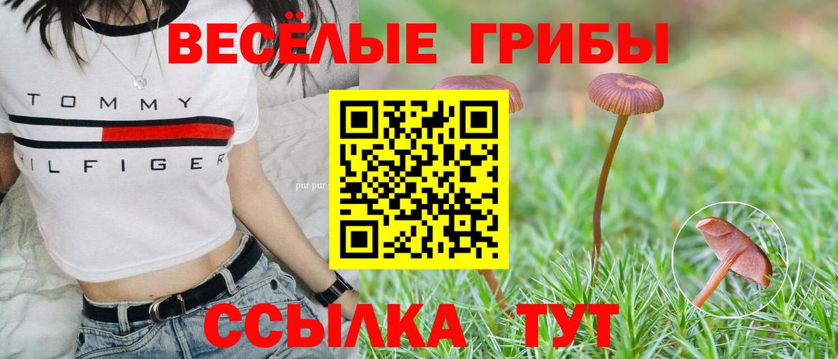 Галлюциногенные грибы прущие грибы  Карабулак 