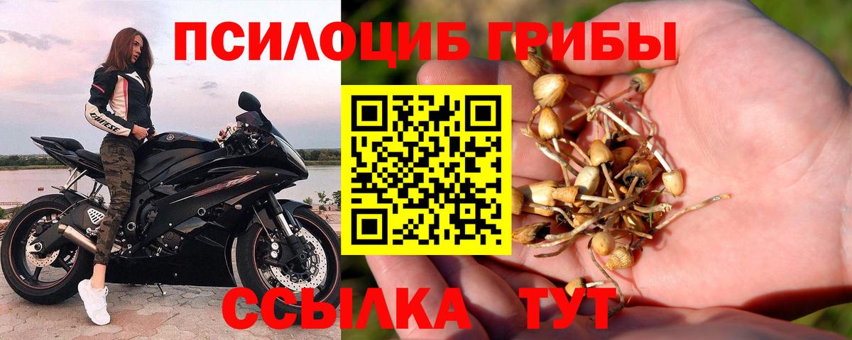 Галлюциногенные грибы MAGIC MUSHROOMS Карабулак