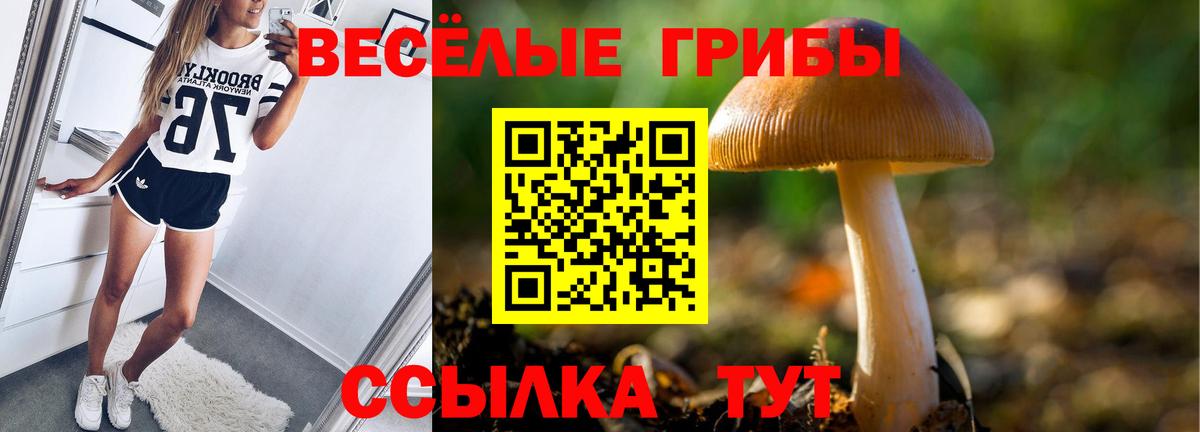 Галлюциногенные грибы мухоморы Карабулак